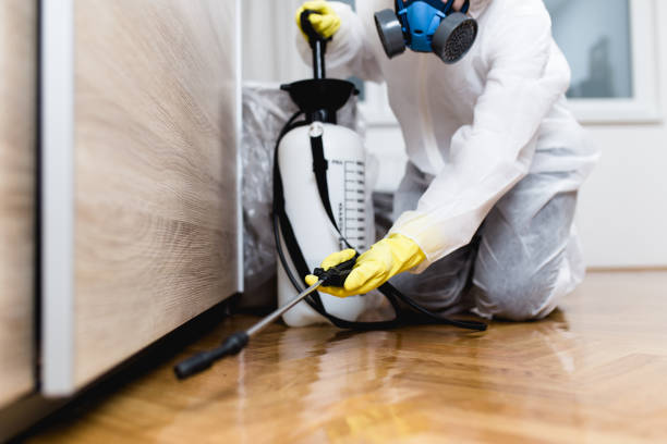 Best Residential Pest Control  in Mansfield, TX