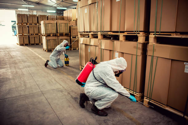 Best Mosquito Control Services  in Mansfield, TX