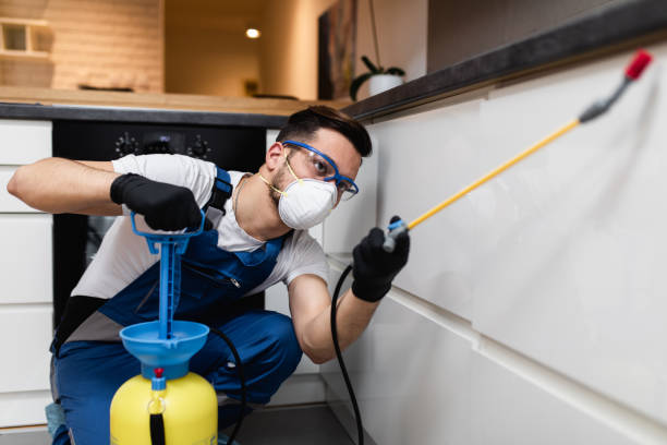 Best Termite Control Services  in Mansfield, TX