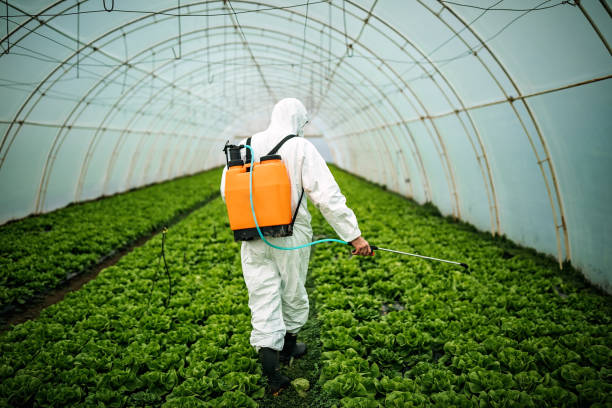 Best Pest Inspection Near Me  in Mansfield, TX