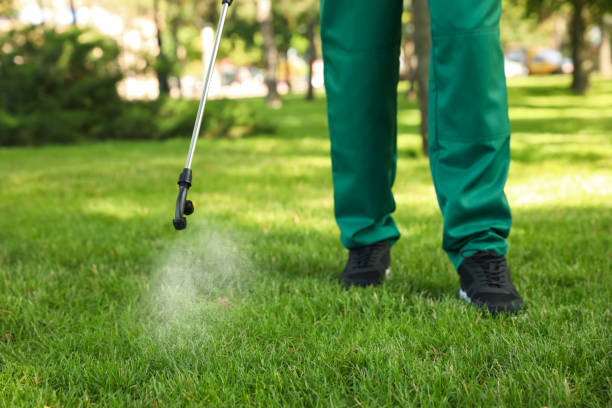 Best Best Pest Control Companies  in Mansfield, TX