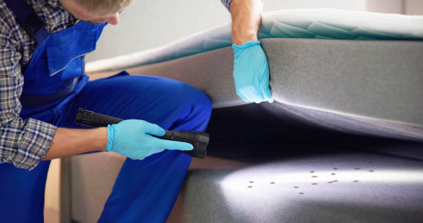 Best Affordable Pest Control Services  in Mansfield, TX