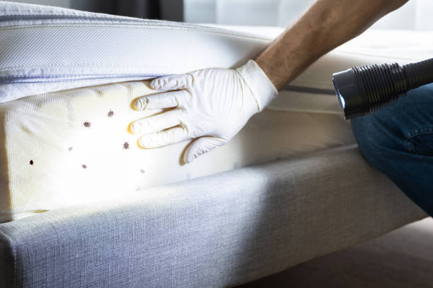 Best Residential Pest Control  in Mansfield, TX