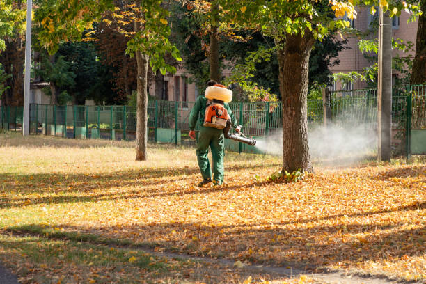 Best Insect Control  in Mansfield, TX