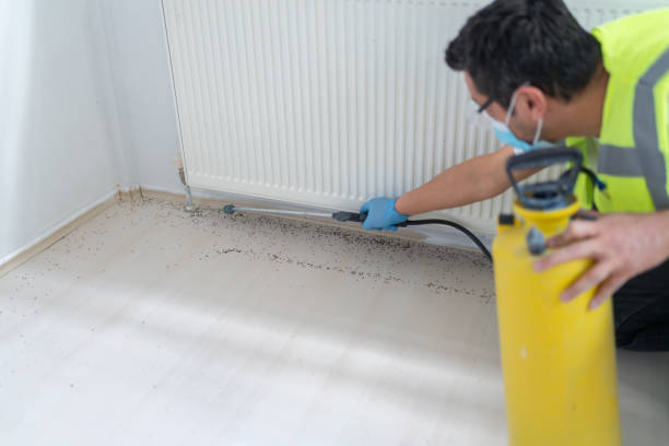 Best Cockroach Control Services  in Mansfield, TX