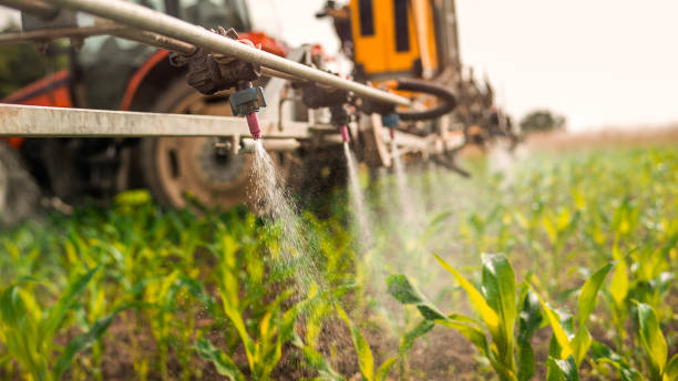 Best Ant Control Services  in Mansfield, TX