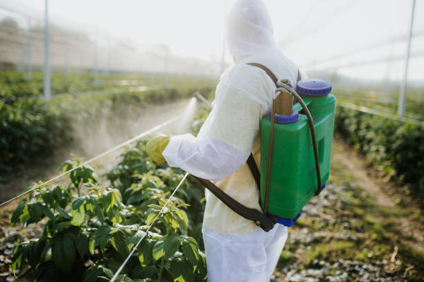 Best Pest Control Near Me  in Mansfield, TX